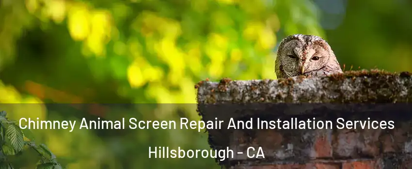 Chimney Animal Screen Repair And Installation Services Hillsborough - CA