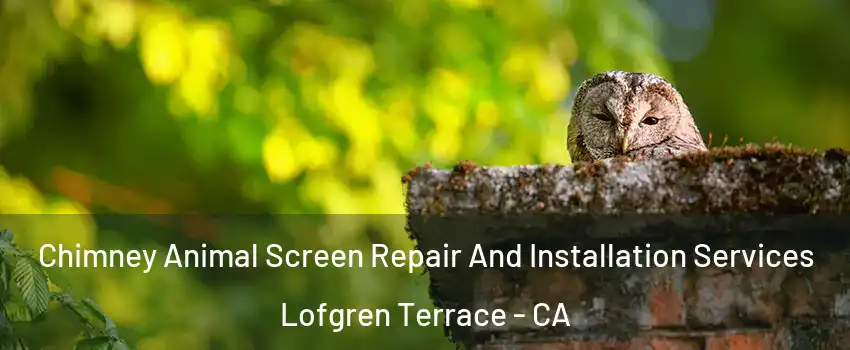 Chimney Animal Screen Repair And Installation Services Lofgren Terrace - CA