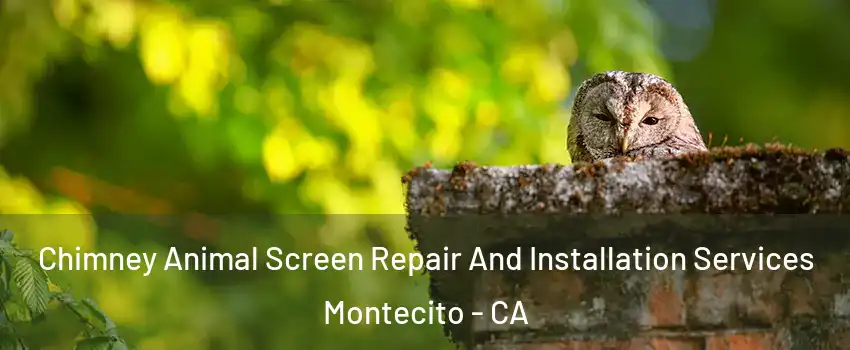 Chimney Animal Screen Repair And Installation Services Montecito - CA