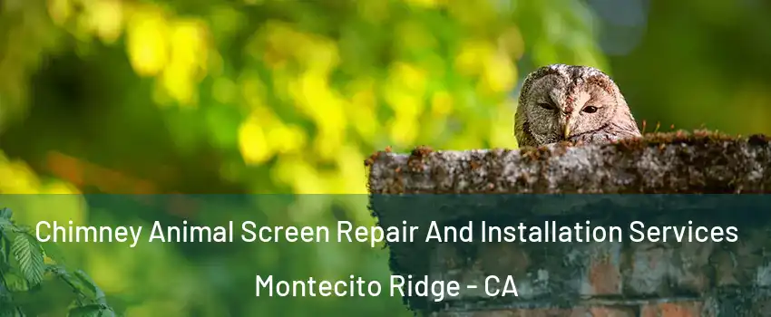 Chimney Animal Screen Repair And Installation Services Montecito Ridge - CA