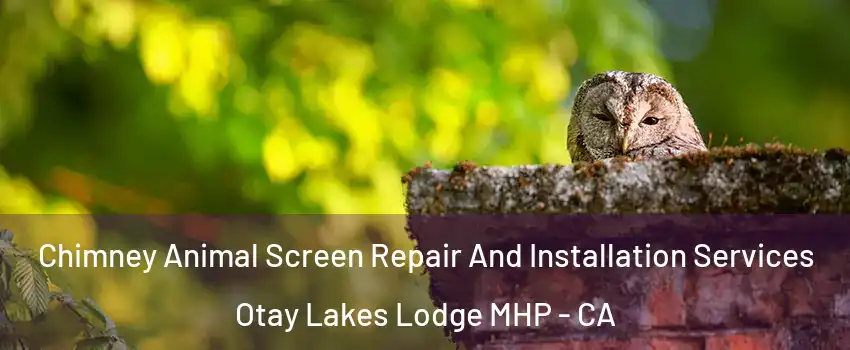 Chimney Animal Screen Repair And Installation Services Otay Lakes Lodge MHP - CA
