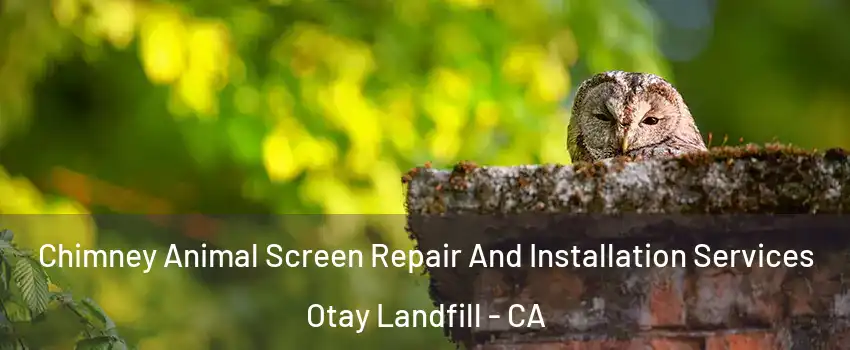 Chimney Animal Screen Repair And Installation Services Otay Landfill - CA