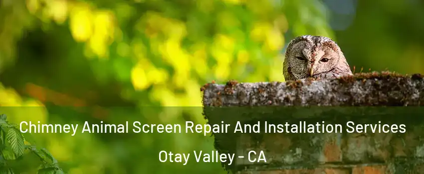 Chimney Animal Screen Repair And Installation Services Otay Valley - CA