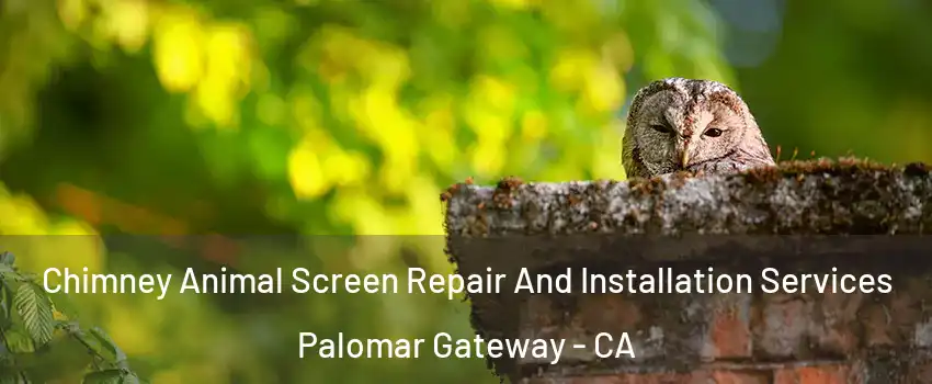 Chimney Animal Screen Repair And Installation Services Palomar Gateway - CA