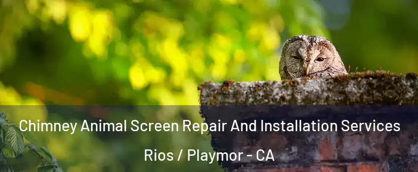 Chimney Animal Screen Repair And Installation Services Rios / Playmor - CA