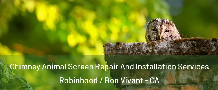 Chimney Animal Screen Repair And Installation Services Robinhood / Bon Vivant - CA