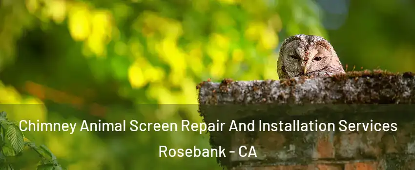 Chimney Animal Screen Repair And Installation Services Rosebank - CA