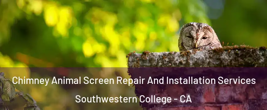 Chimney Animal Screen Repair And Installation Services Southwestern College - CA