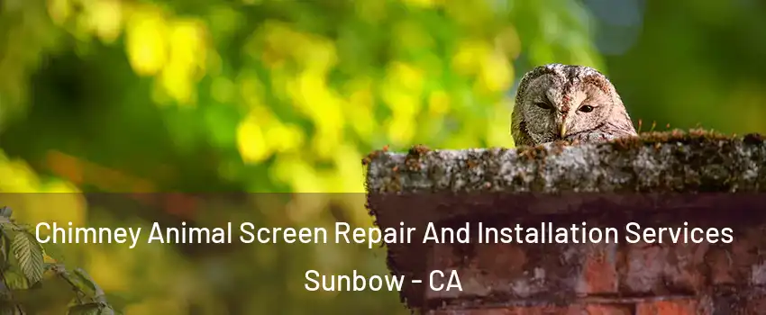 Chimney Animal Screen Repair And Installation Services Sunbow - CA