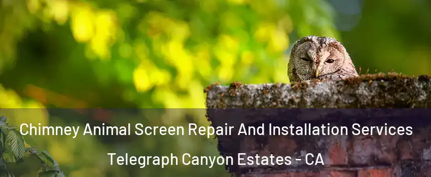 Chimney Animal Screen Repair And Installation Services Telegraph Canyon Estates - CA
