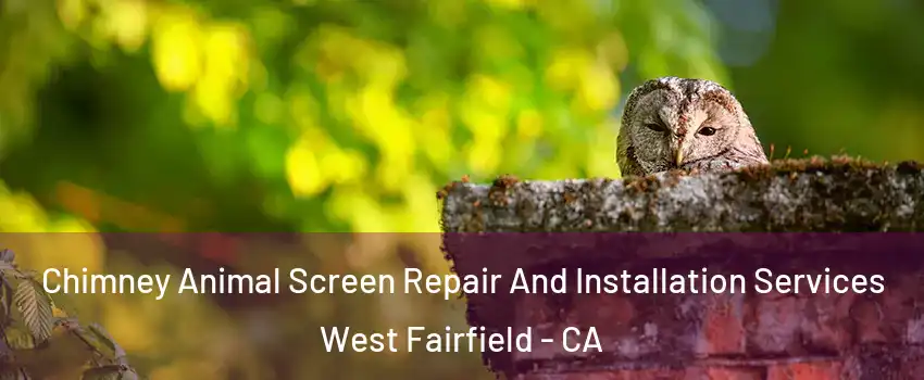 Chimney Animal Screen Repair And Installation Services West Fairfield - CA