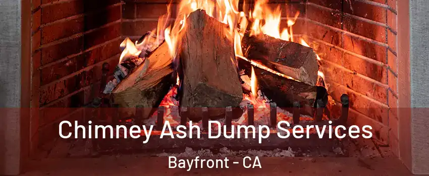Chimney Ash Dump Services Bayfront - CA