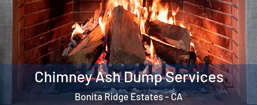 Chimney Ash Dump Services Bonita Ridge Estates - CA