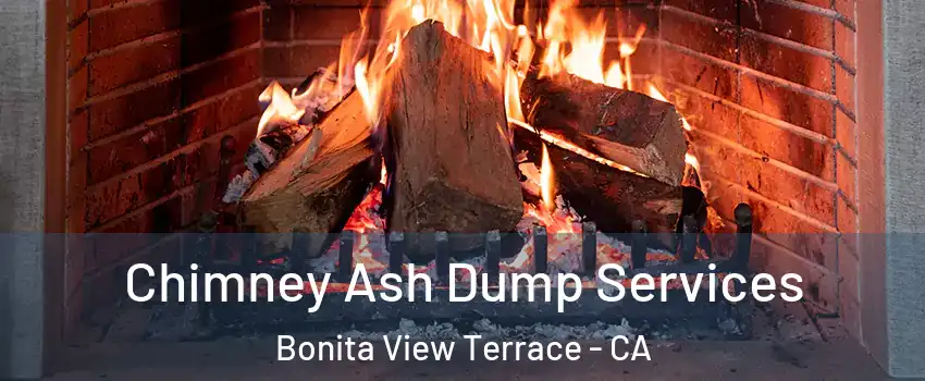 Chimney Ash Dump Services Bonita View Terrace - CA