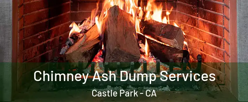 Chimney Ash Dump Services Castle Park - CA