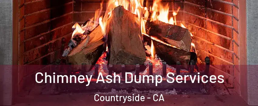 Chimney Ash Dump Services Countryside - CA