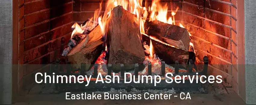 Chimney Ash Dump Services Eastlake Business Center - CA