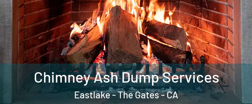 Chimney Ash Dump Services Eastlake - The Gates - CA