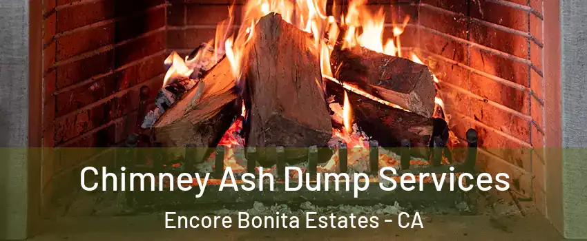 Chimney Ash Dump Services Encore Bonita Estates - CA