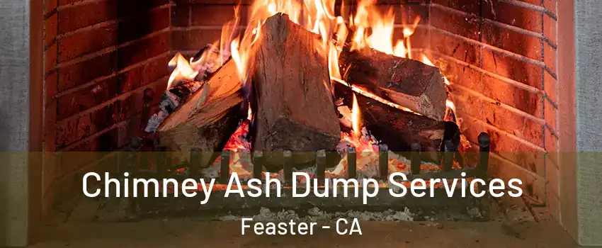 Chimney Ash Dump Services Feaster - CA