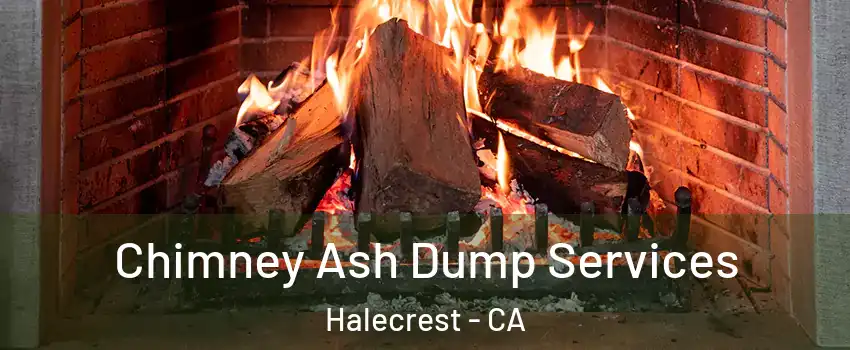 Chimney Ash Dump Services Halecrest - CA