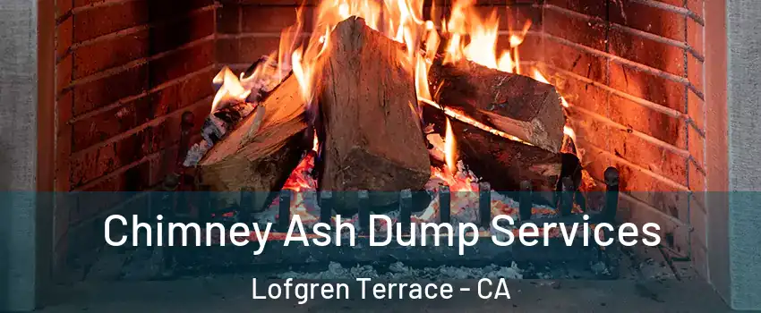 Chimney Ash Dump Services Lofgren Terrace - CA