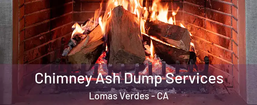 Chimney Ash Dump Services Lomas Verdes - CA