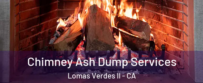 Chimney Ash Dump Services Lomas Verdes II - CA