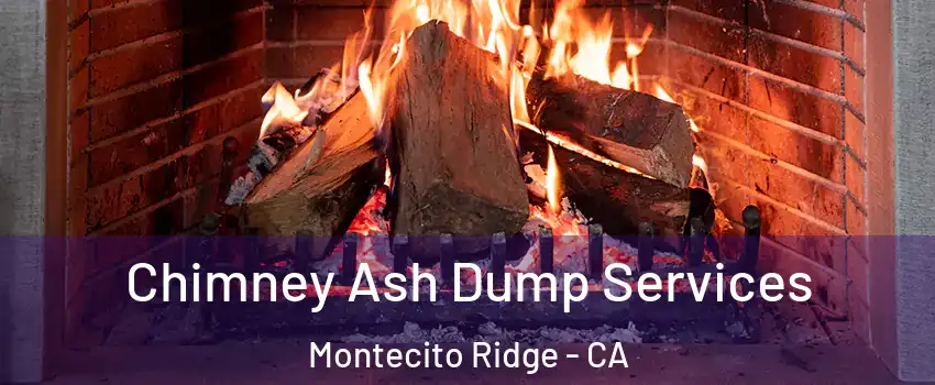 Chimney Ash Dump Services Montecito Ridge - CA
