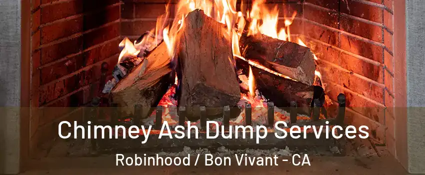 Chimney Ash Dump Services Robinhood / Bon Vivant - CA