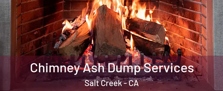 Chimney Ash Dump Services Salt Creek - CA