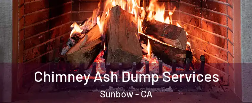 Chimney Ash Dump Services Sunbow - CA