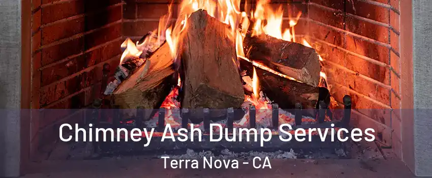 Chimney Ash Dump Services Terra Nova - CA