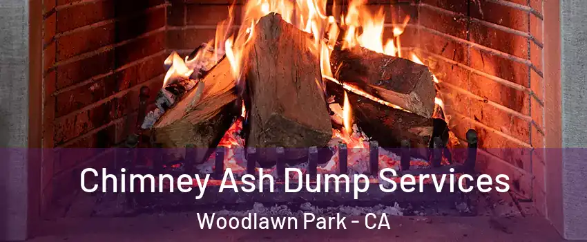 Chimney Ash Dump Services Woodlawn Park - CA