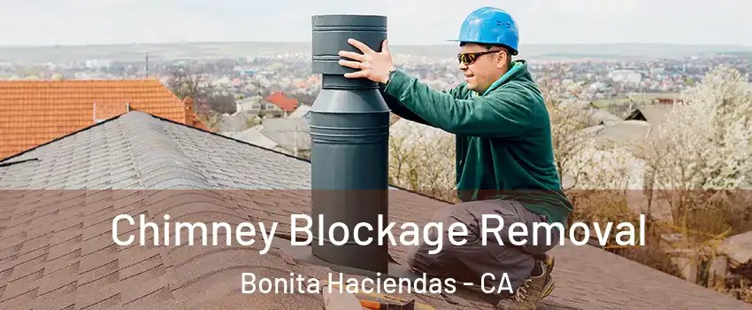Chimney Blockage Removal Bonita Haciendas - CA