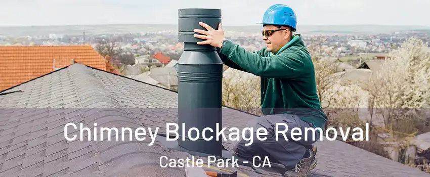 Chimney Blockage Removal Castle Park - CA