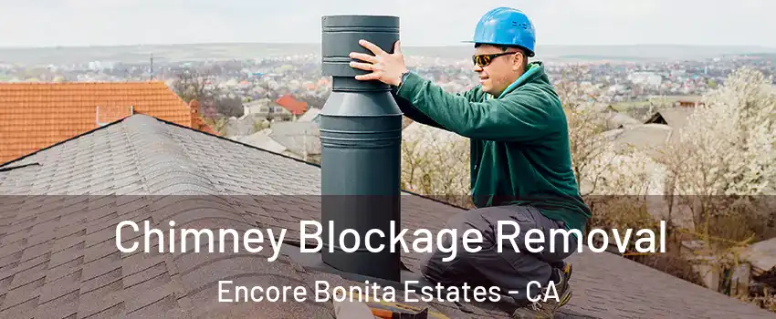 Chimney Blockage Removal Encore Bonita Estates - CA