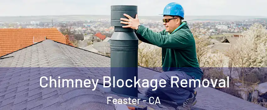 Chimney Blockage Removal Feaster - CA