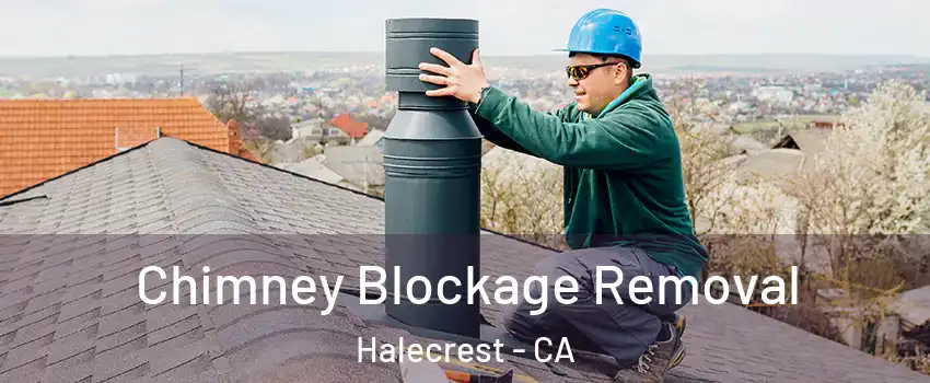 Chimney Blockage Removal Halecrest - CA