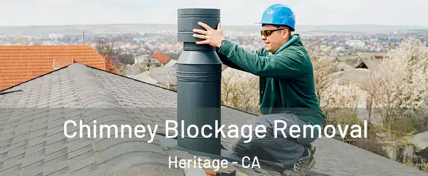 Chimney Blockage Removal Heritage - CA