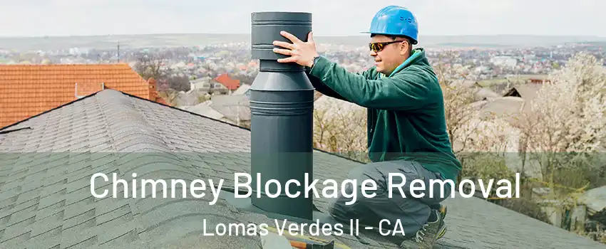 Chimney Blockage Removal Lomas Verdes II - CA