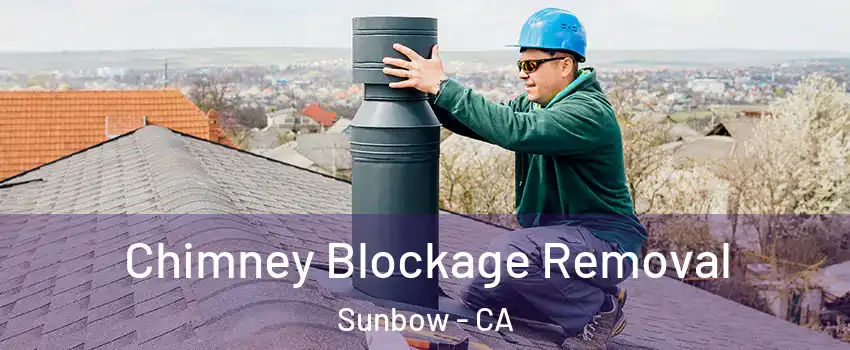 Chimney Blockage Removal Sunbow - CA
