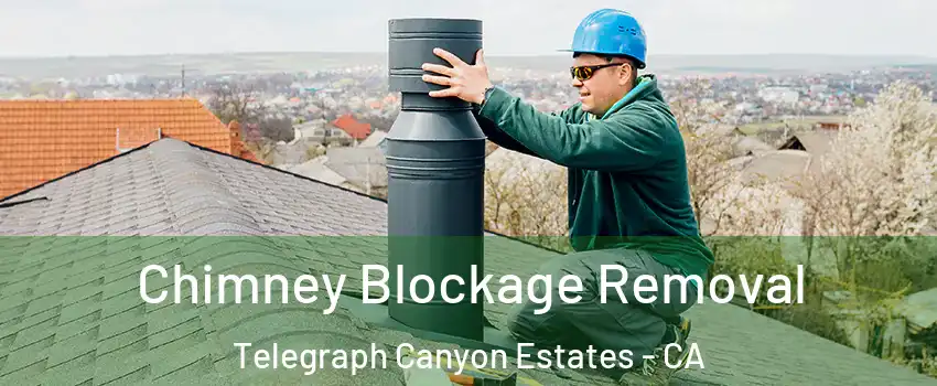 Chimney Blockage Removal Telegraph Canyon Estates - CA