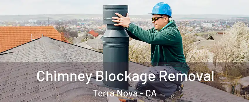 Chimney Blockage Removal Terra Nova - CA