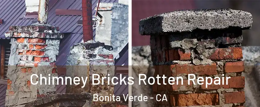 Chimney Bricks Rotten Repair Bonita Verde - CA