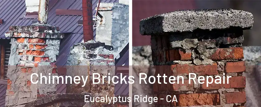 Chimney Bricks Rotten Repair Eucalyptus Ridge - CA