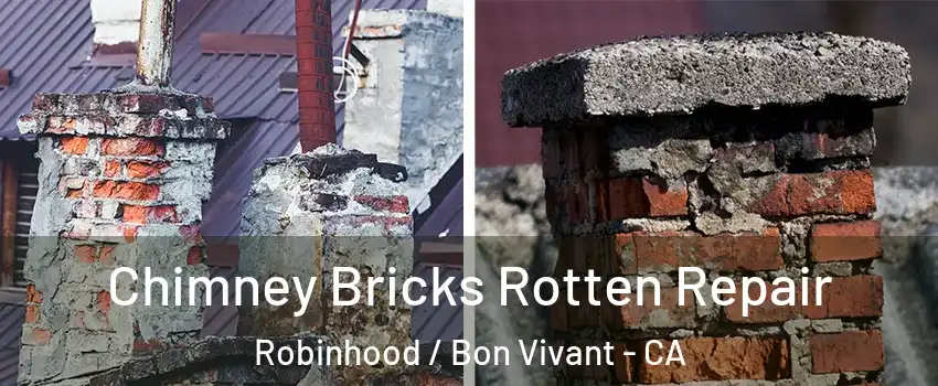 Chimney Bricks Rotten Repair Robinhood / Bon Vivant - CA
