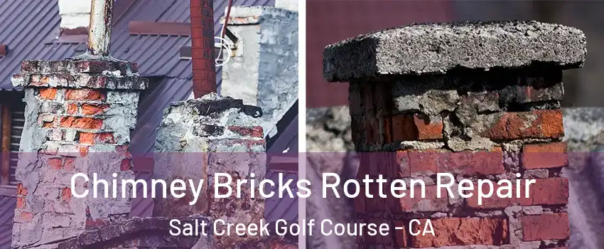 Chimney Bricks Rotten Repair Salt Creek Golf Course - CA