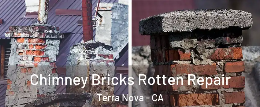 Chimney Bricks Rotten Repair Terra Nova - CA