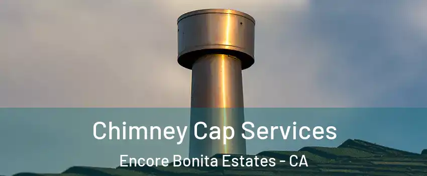 Chimney Cap Services Encore Bonita Estates - CA